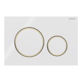 Cutout image of Geberit Sigma20 Round White / Gold Dual Flush plate